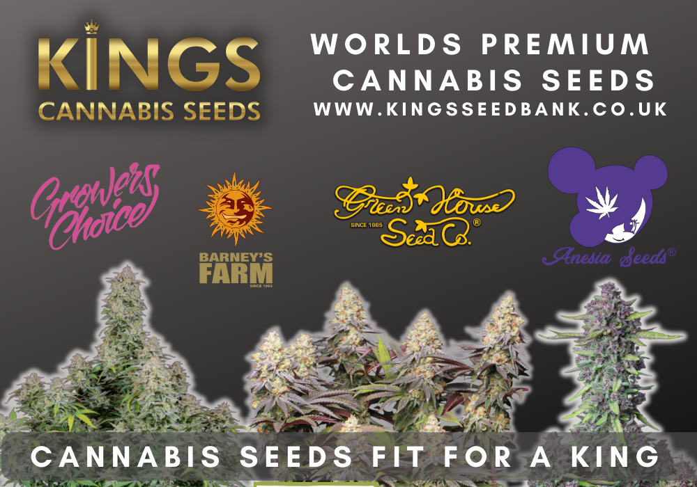 Buy cannabis seeds leeds